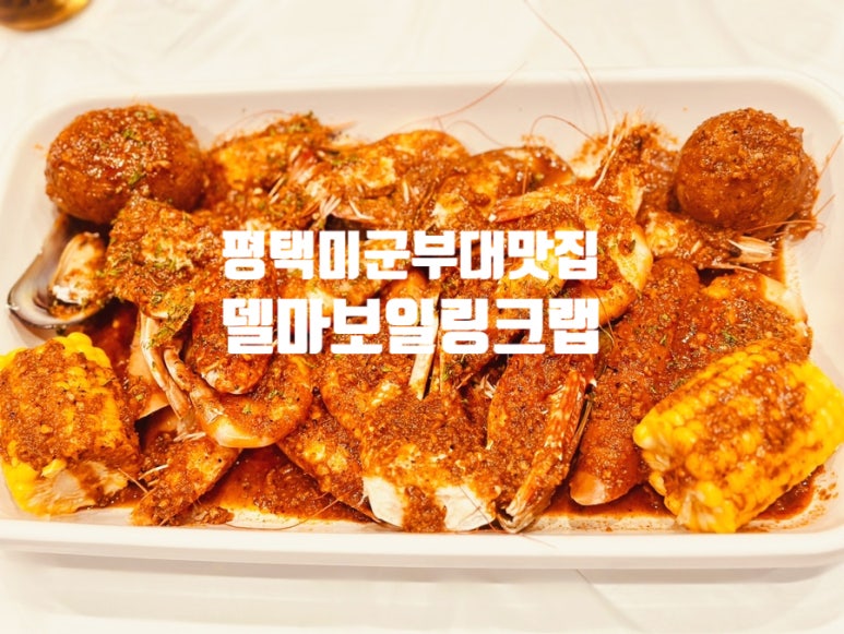델마보일링크랩 이미지