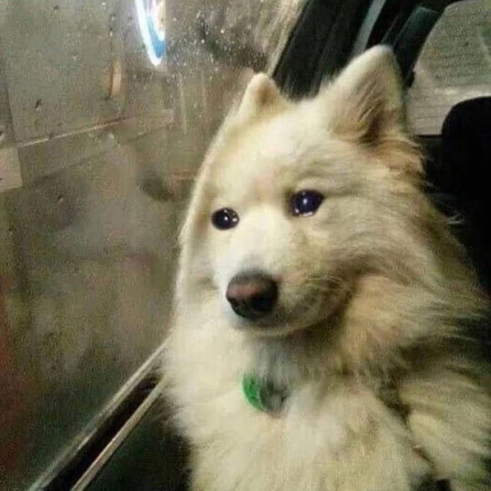 기와보쌈서 이미지