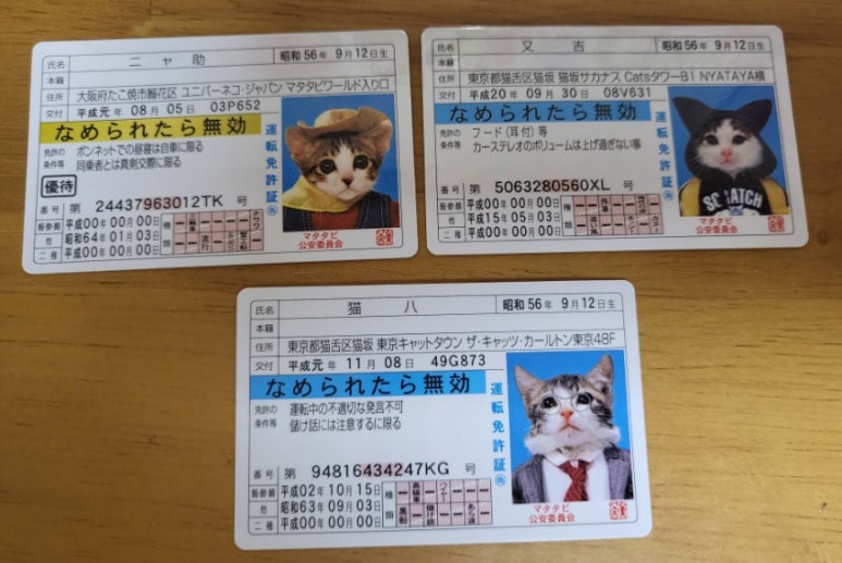 꾸꾸엔젤 이미지