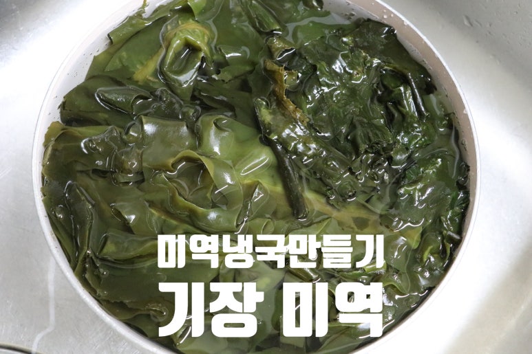 김미다멸 이미지