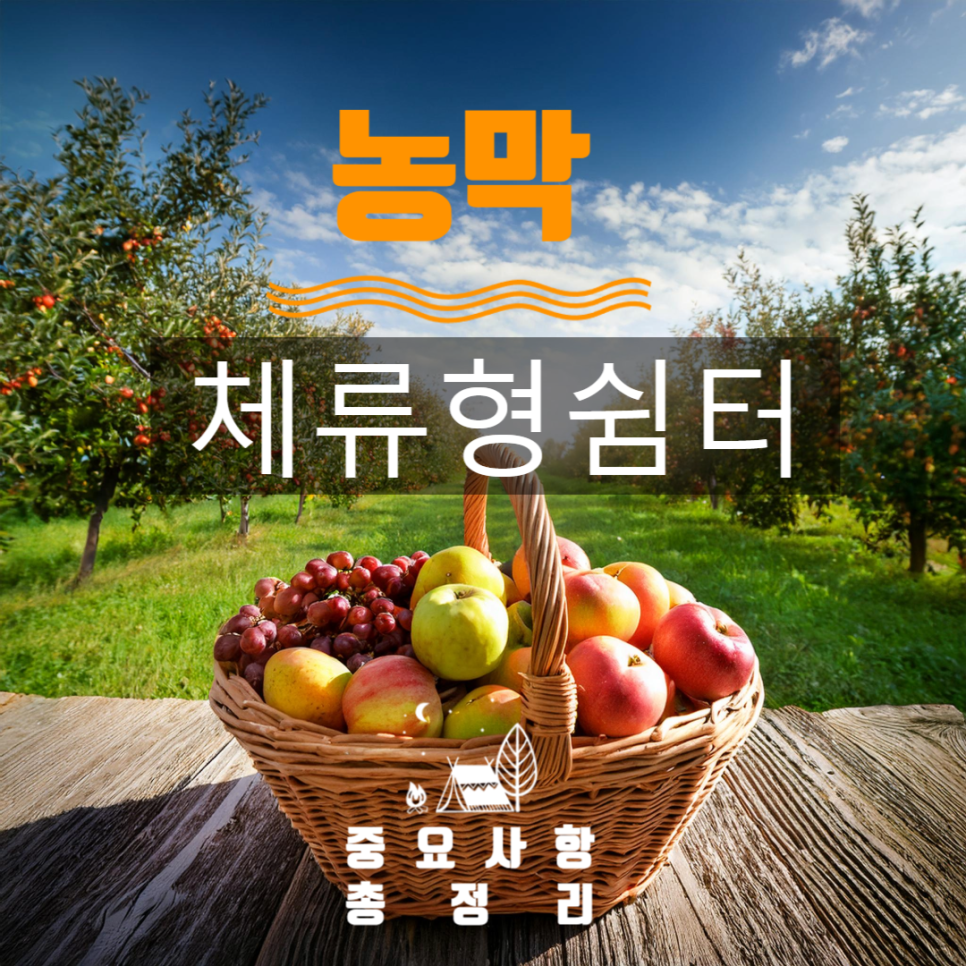 리도자동차정비 이미지