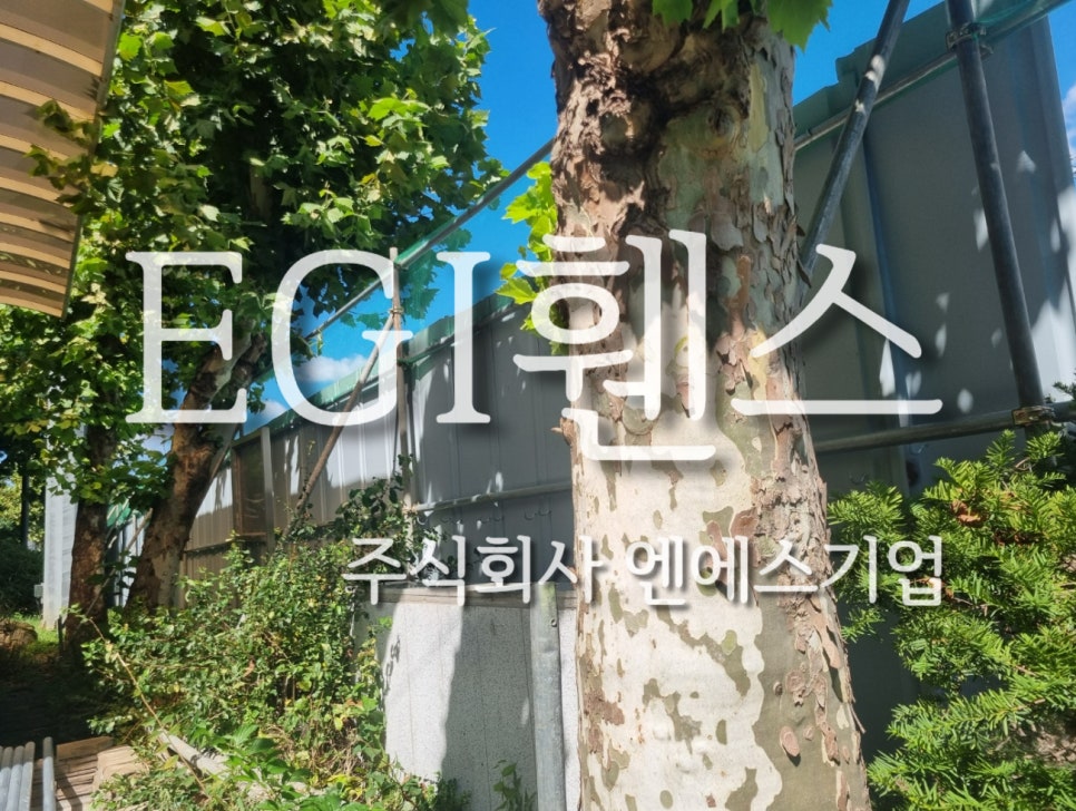 3M북구 이미지