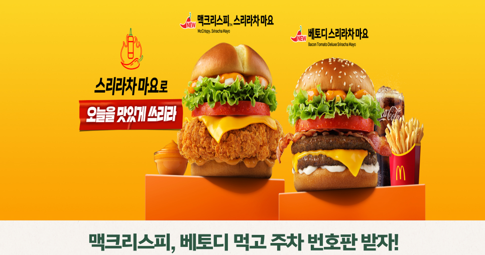 베로티 이미지