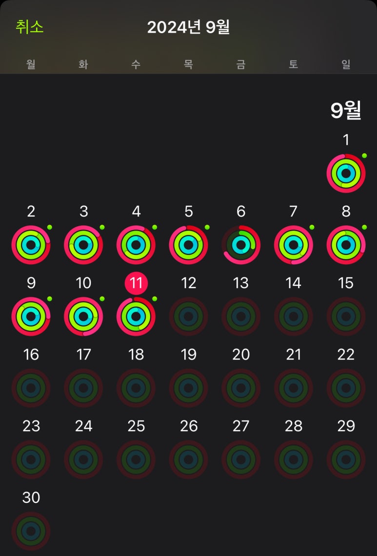 데카스론 이미지