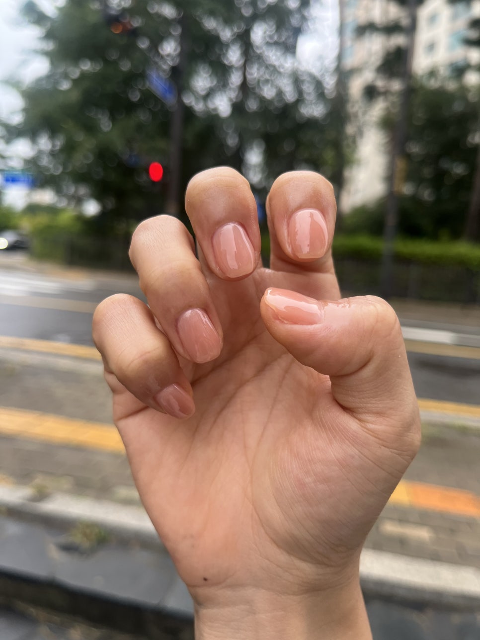 삐까빤짝 이미지