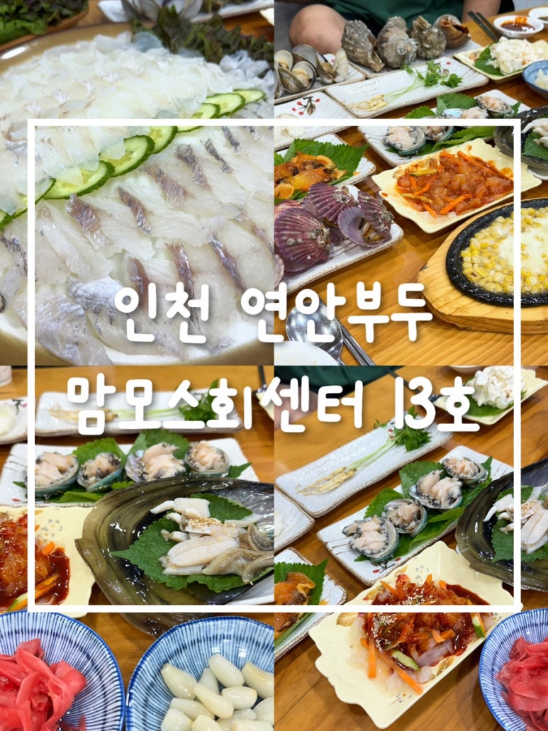 맘모스13호 이미지