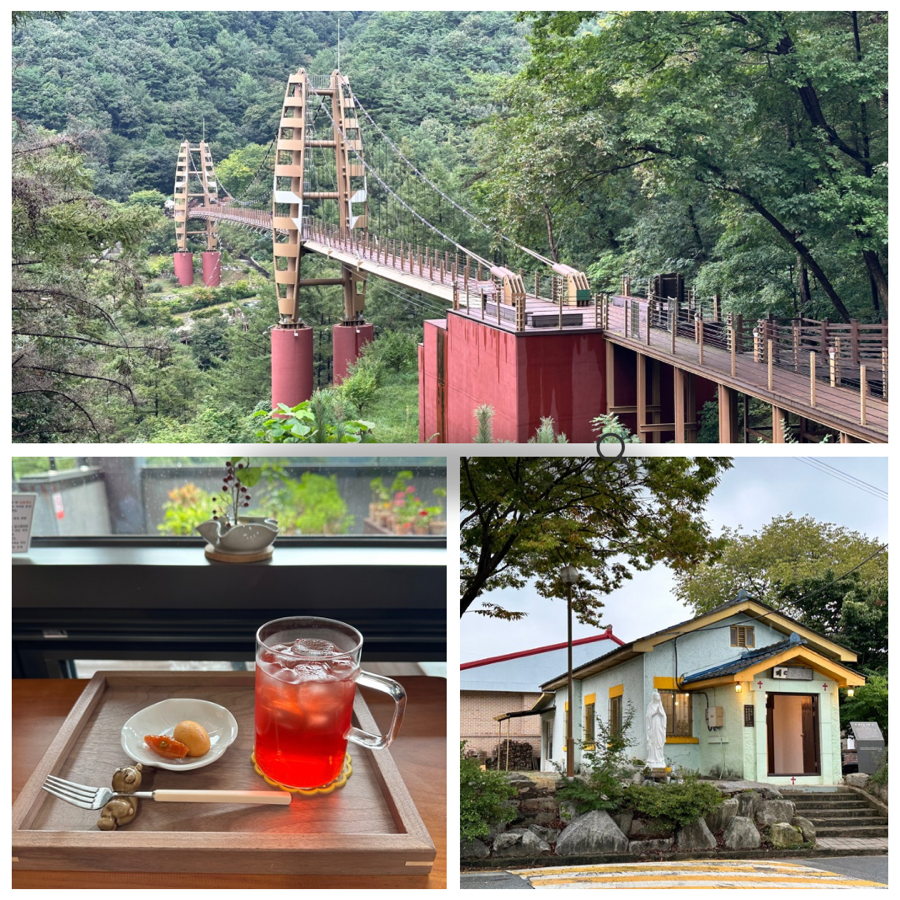 참자연한방병원 이미지