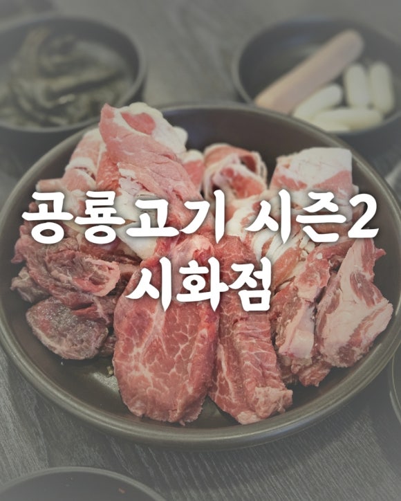 공룡고기시즌2시화점 이미지