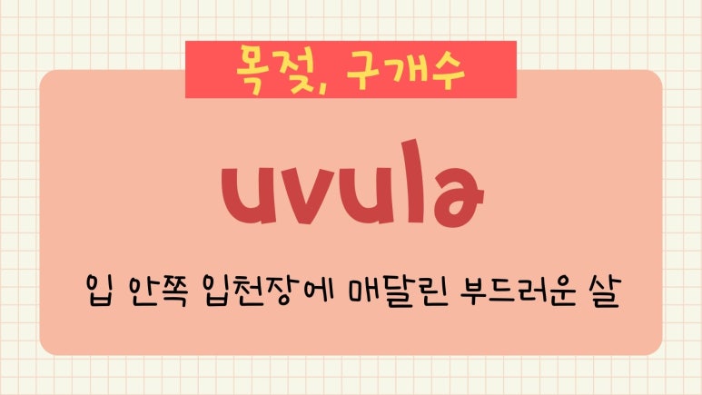 의학출판사 이미지