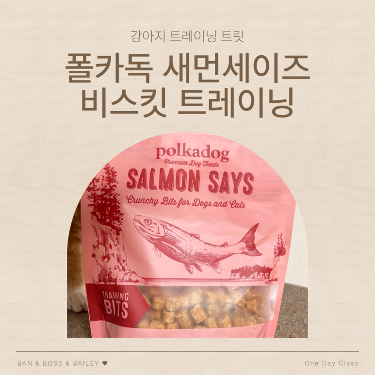 주식회사 해덕 이미지