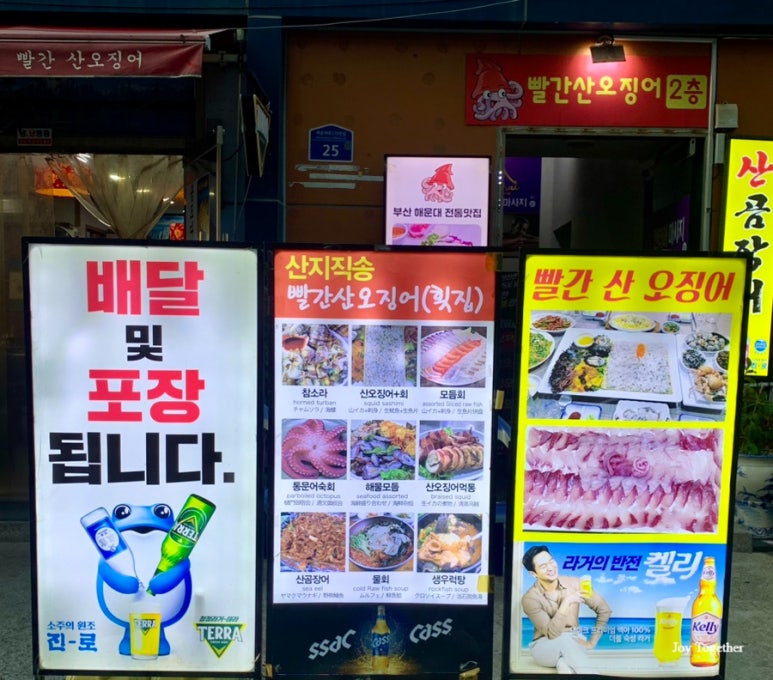 빨간산오징어 이미지
