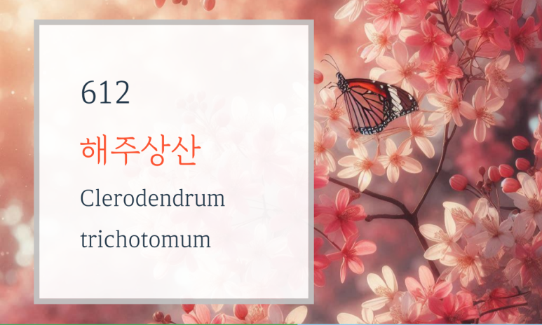 해주상사 이미지