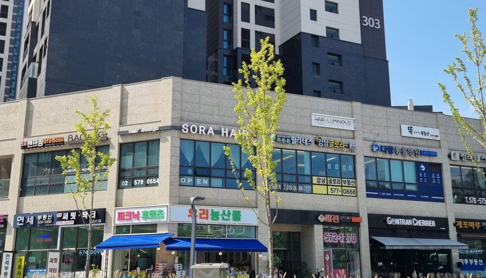 디에이치헤어 이미지
