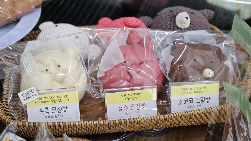 빵의향현 이미지