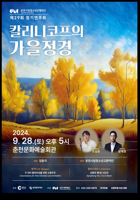 춘천청소년교향악단 이미지