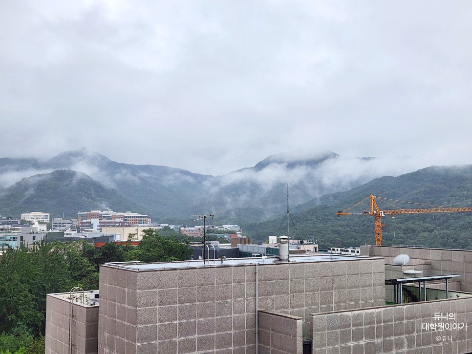 더브레드볼로 이미지