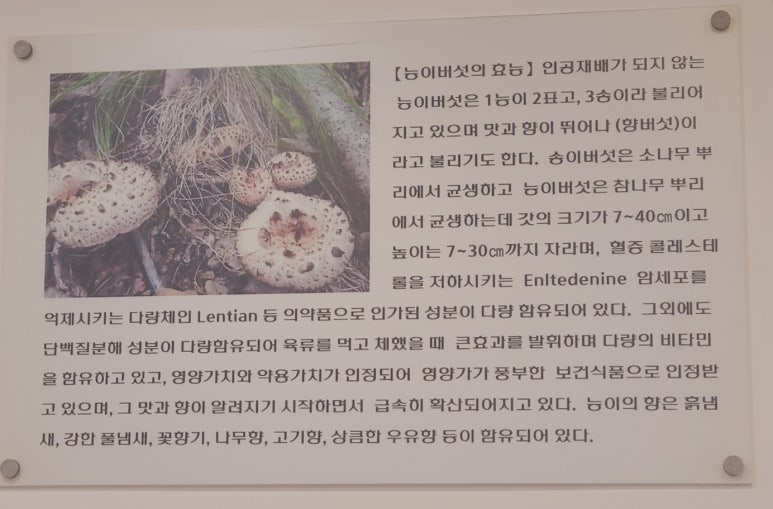 박가네 능이백숙삼계탕 이미지