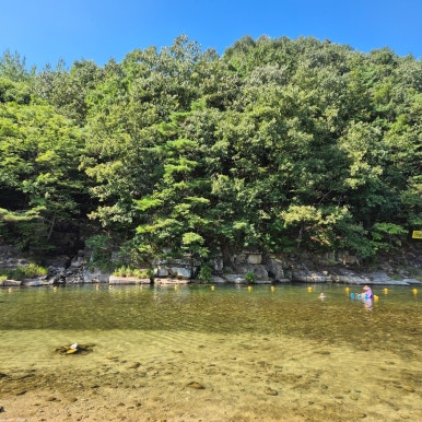 감나무펜션 이미지