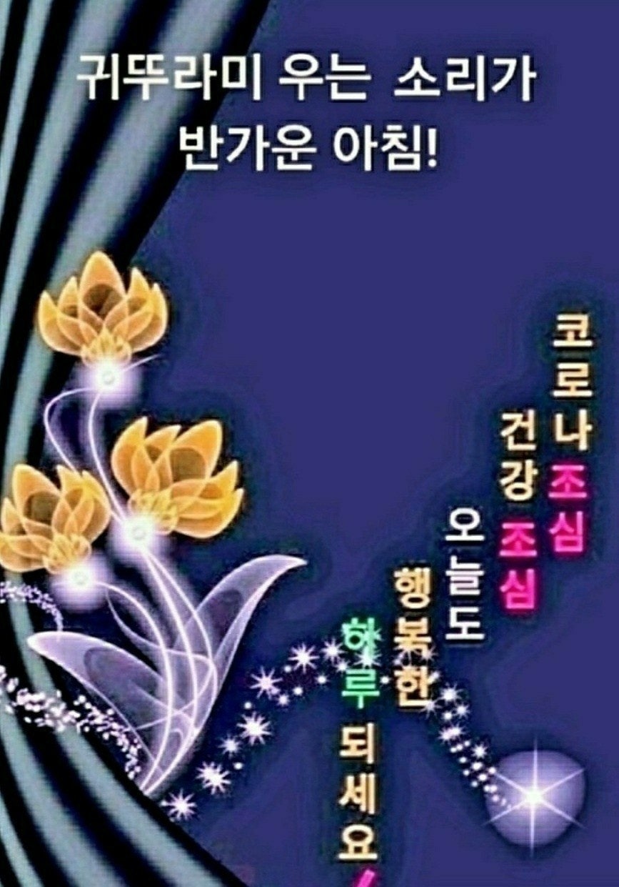 건강한하루 이미지