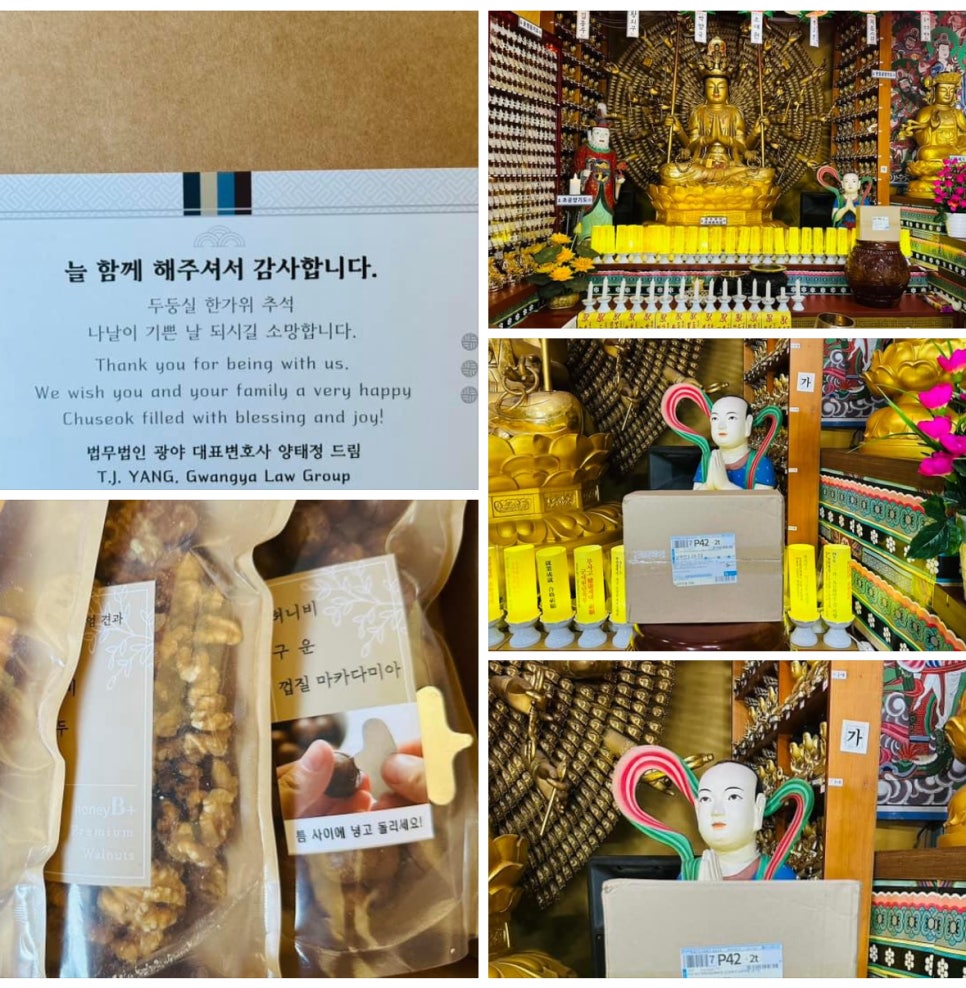법인소망 이미지