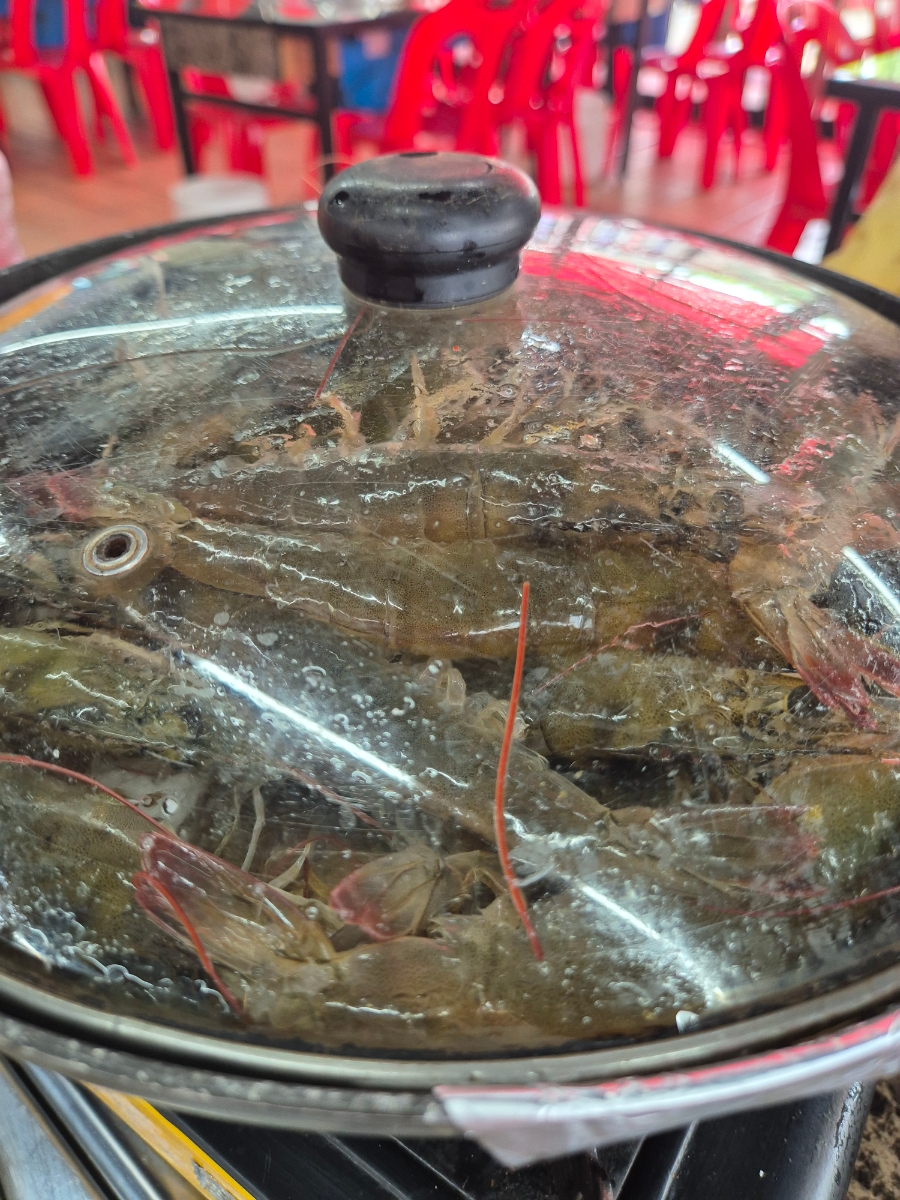 강남공판장 이미지