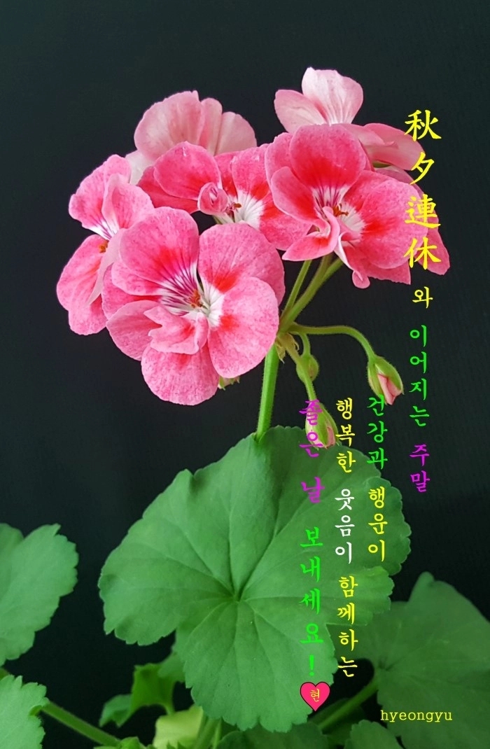 건강한하루 이미지