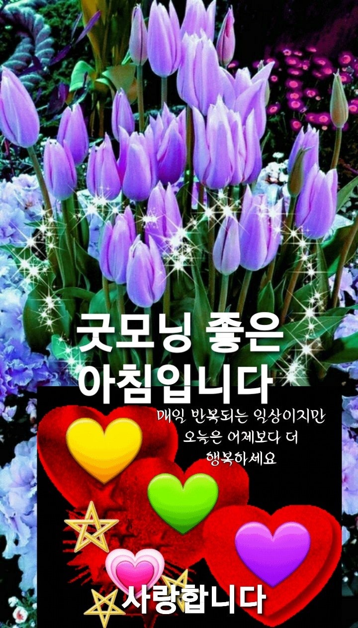건강한하루 이미지