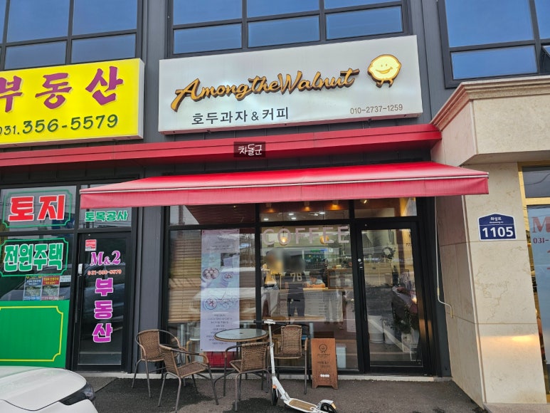 어몽더월넛 이미지