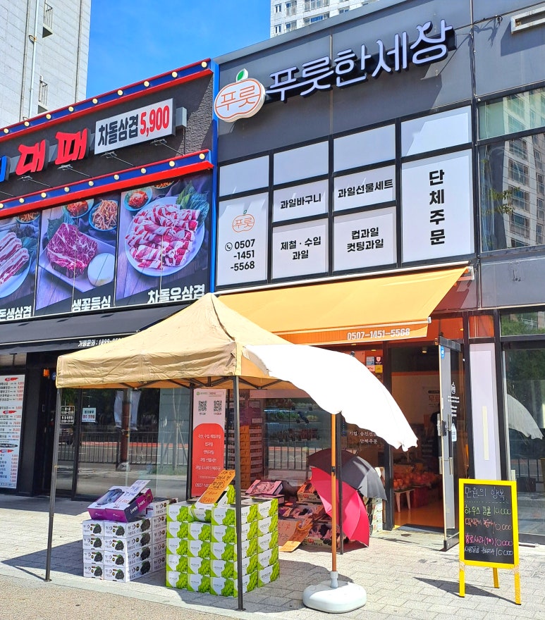 푸룻한세상 이미지