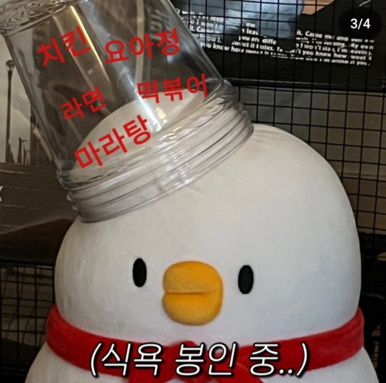 야무지니 이미지