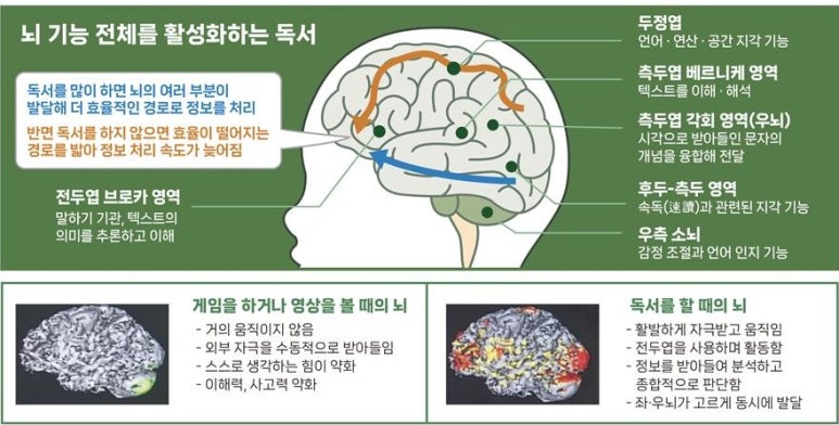 다산별빛초등학교 이미지