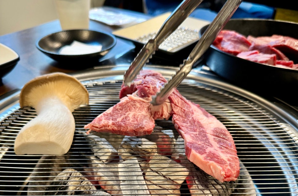 고굽진 이미지
