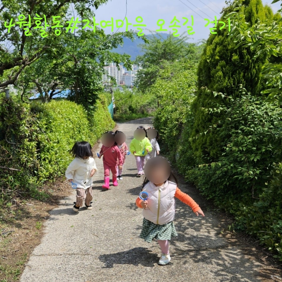 솔밭어린이집 이미지