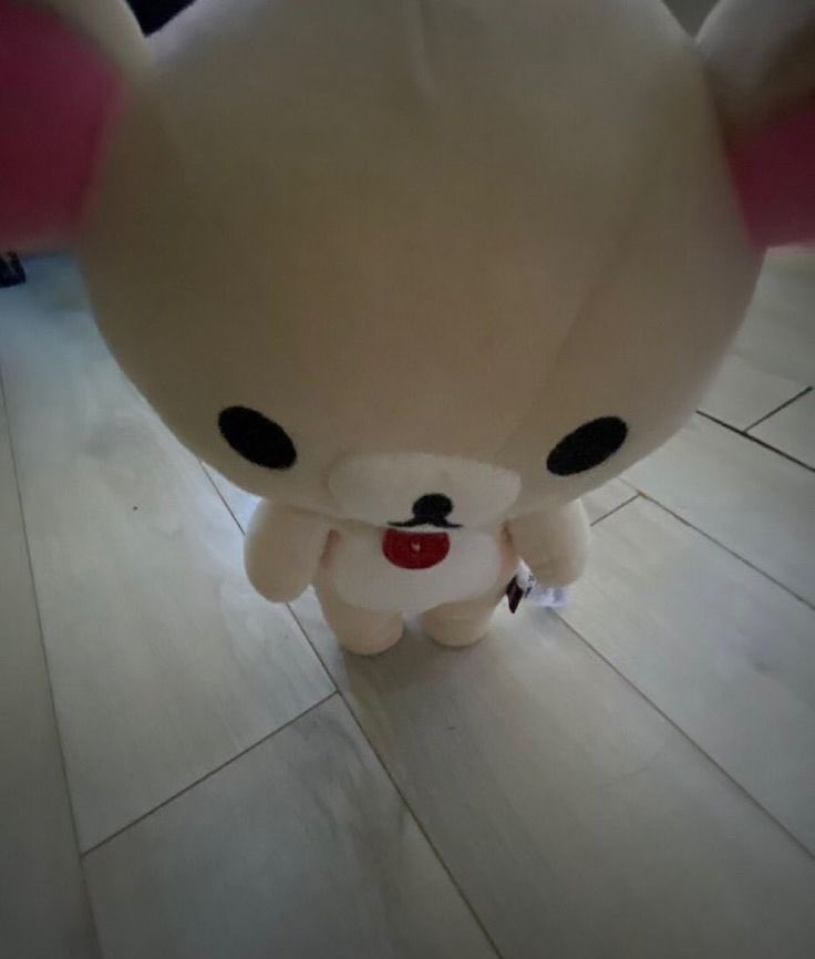 스테이오늘 이미지