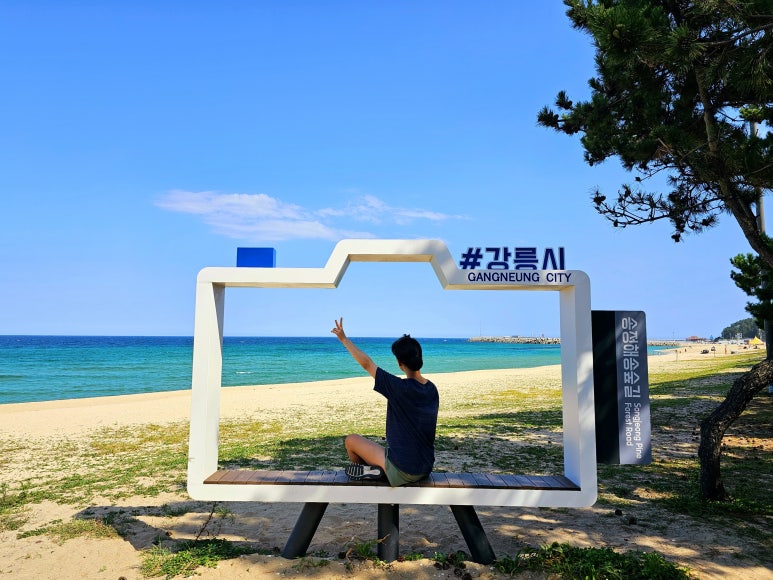 왕궁대게킹 이미지