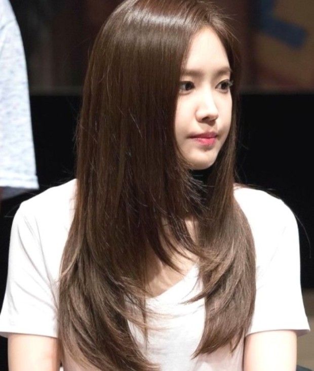 덴헤어 이미지
