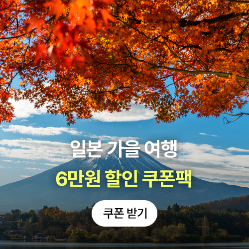 줌줌투어 주식회사 이미지