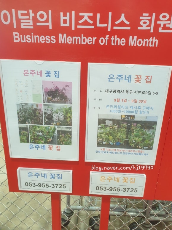 은주네꽃집 이미지
