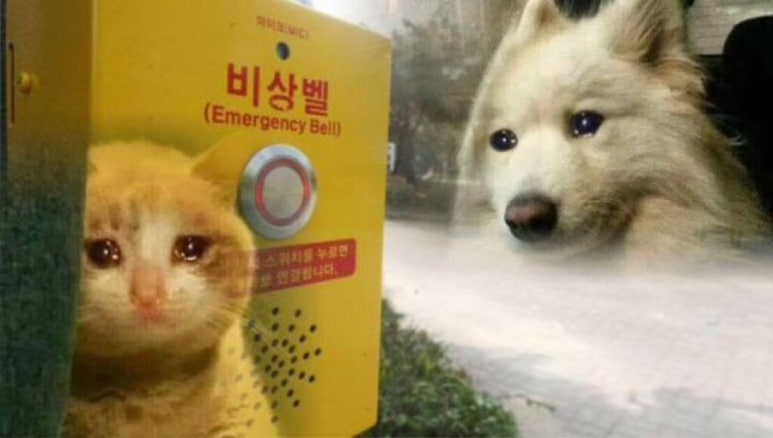 에이에이에이 이미지