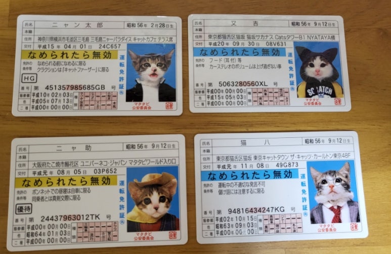꾸꾸엔젤 이미지