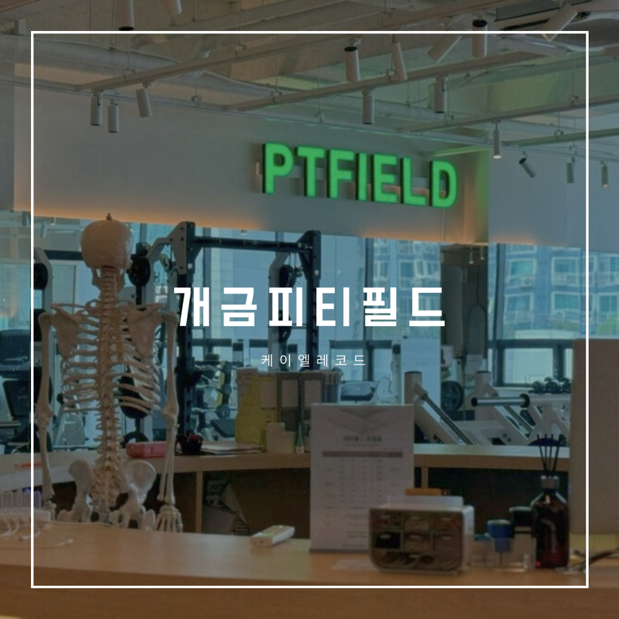 피티필드개금 이미지