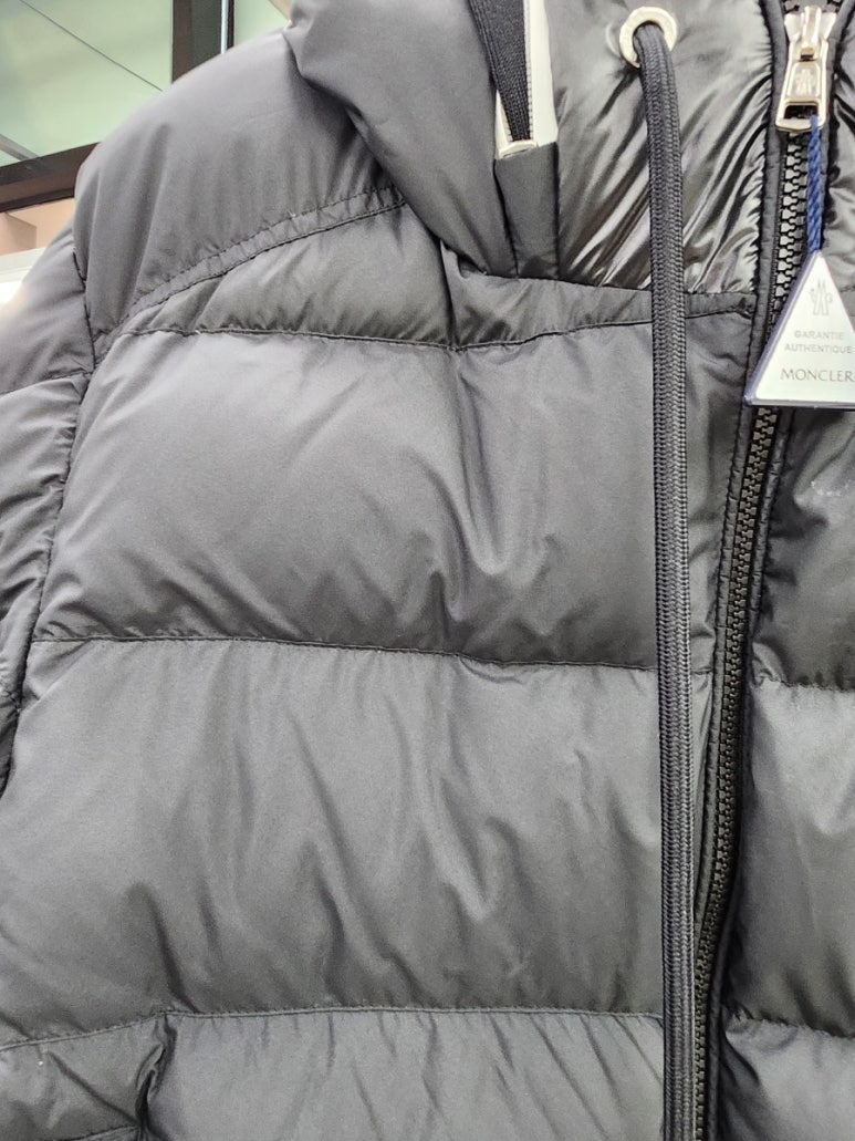 두리수선 이미지
