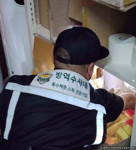 방역수사대 울산지사 이미지