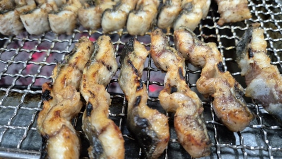 우리수산풍천장어 이미지