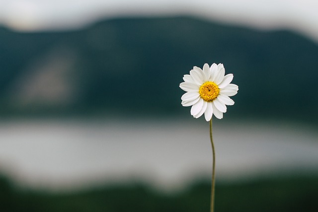 풍년농약사 이미지