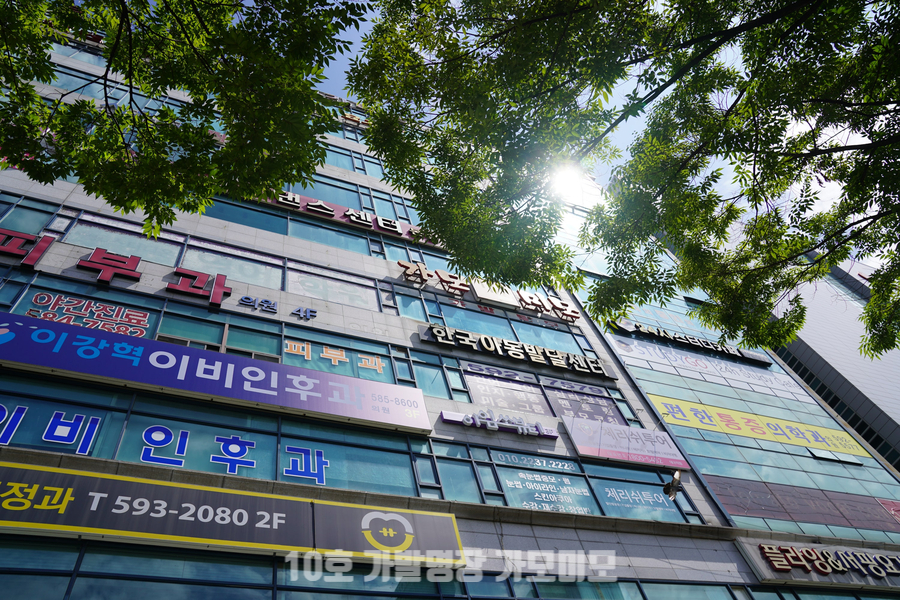 가모미모 이미지