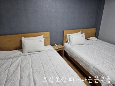 비하우스게스트하우스 이미지