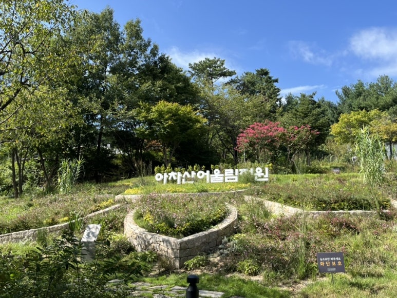 숲속 이미지