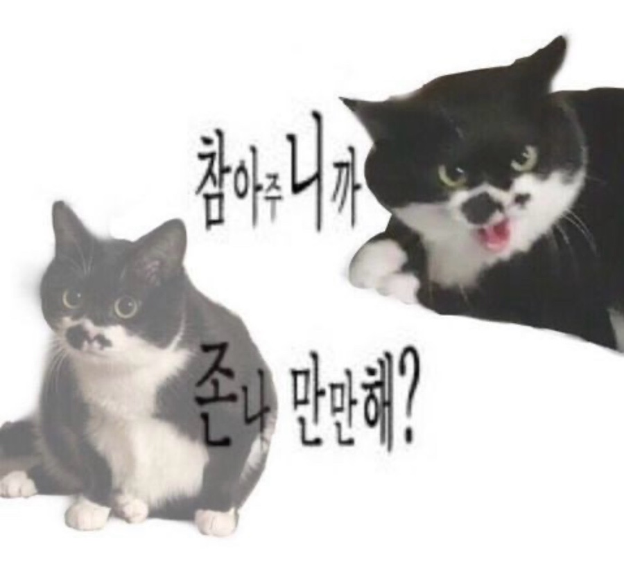 내일카츠 이미지
