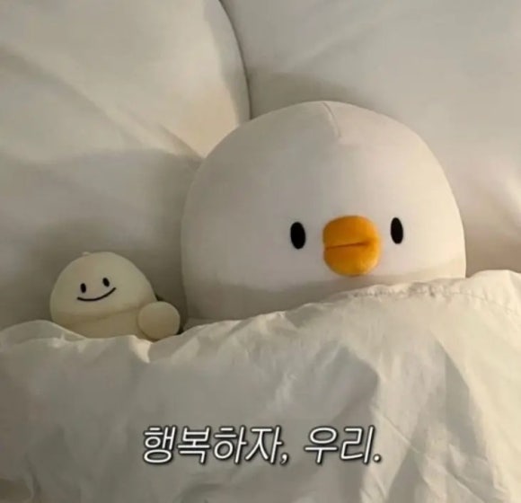 (주)지수여행 이미지